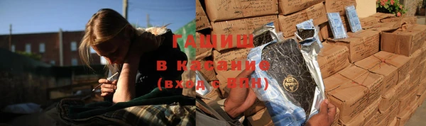индика Богородицк