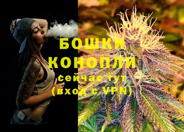 индика Богородицк