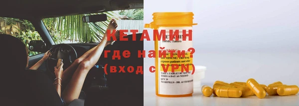 индика Богородицк