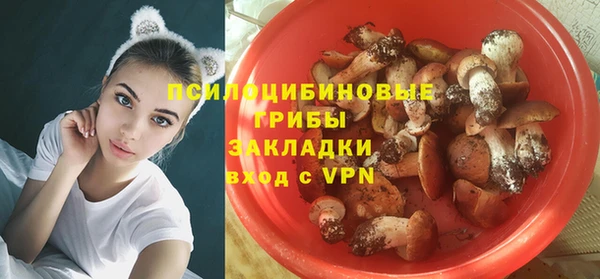 дживик Богданович