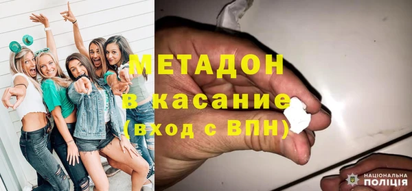 индика Богородицк