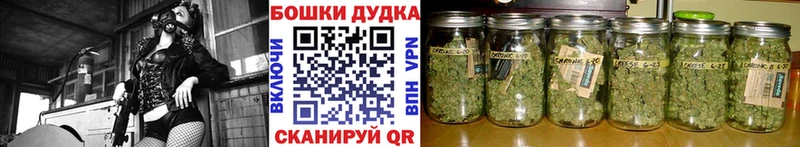 Бошки марихуана план  это наркотические препараты  Краснотурьинск 